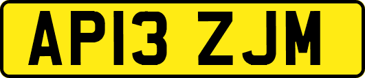 AP13ZJM