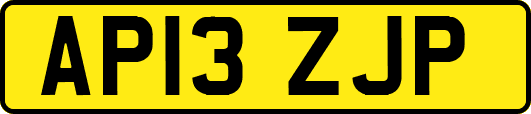 AP13ZJP