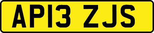 AP13ZJS