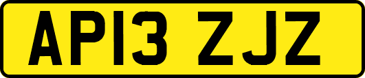 AP13ZJZ