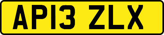 AP13ZLX