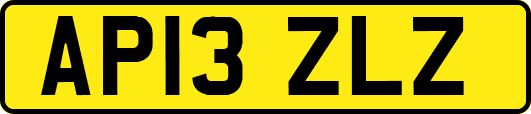 AP13ZLZ