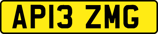 AP13ZMG