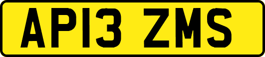 AP13ZMS