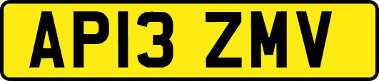 AP13ZMV