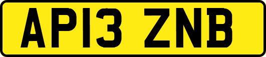 AP13ZNB