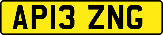 AP13ZNG