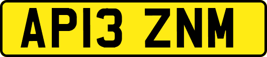 AP13ZNM