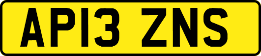 AP13ZNS
