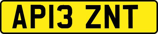 AP13ZNT