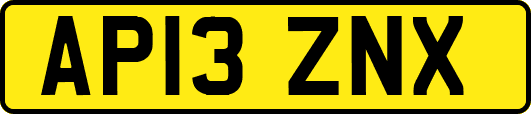 AP13ZNX