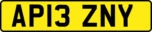 AP13ZNY