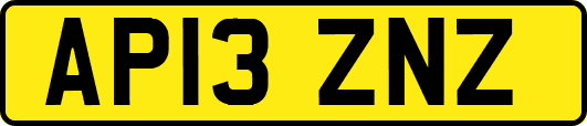 AP13ZNZ