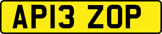 AP13ZOP