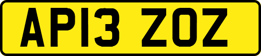 AP13ZOZ