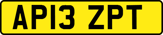 AP13ZPT