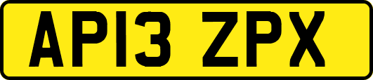 AP13ZPX