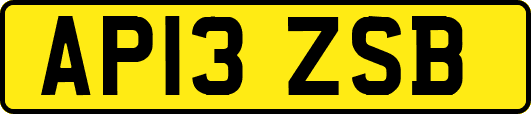 AP13ZSB