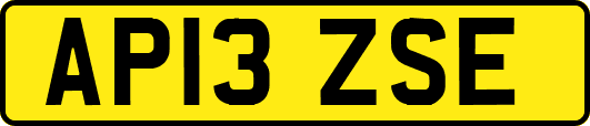 AP13ZSE