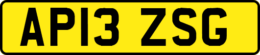 AP13ZSG