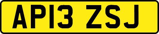 AP13ZSJ