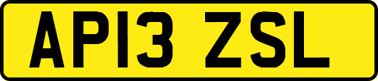 AP13ZSL