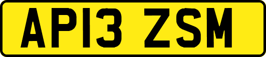 AP13ZSM