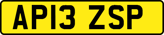 AP13ZSP