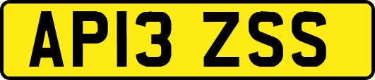 AP13ZSS