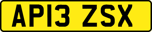 AP13ZSX