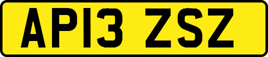 AP13ZSZ
