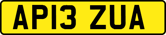 AP13ZUA