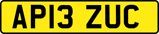 AP13ZUC