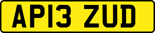 AP13ZUD