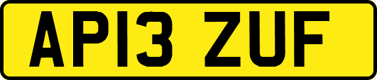 AP13ZUF