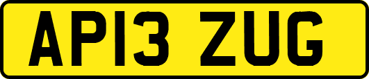 AP13ZUG
