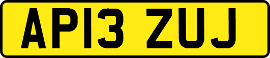 AP13ZUJ