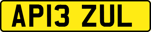 AP13ZUL