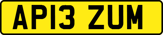 AP13ZUM