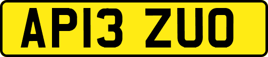 AP13ZUO
