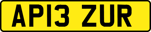 AP13ZUR