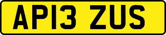 AP13ZUS