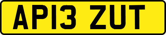 AP13ZUT