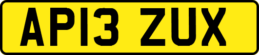 AP13ZUX