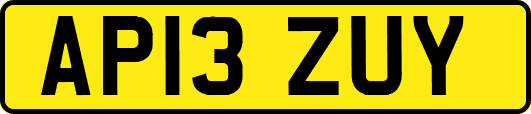 AP13ZUY