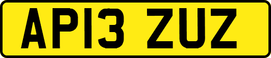 AP13ZUZ