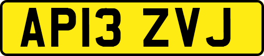 AP13ZVJ
