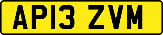 AP13ZVM