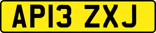 AP13ZXJ