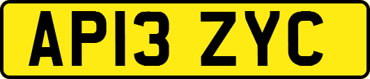 AP13ZYC